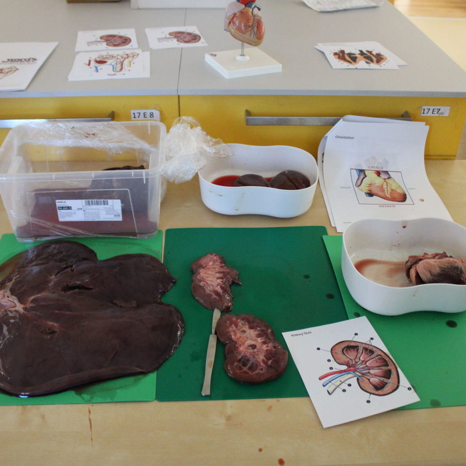 CIS Open Morning 2024