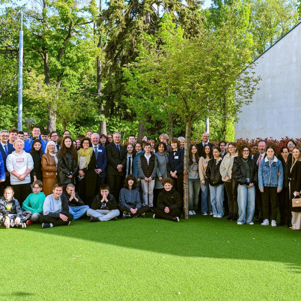 Collaborative Ukrainian School programme