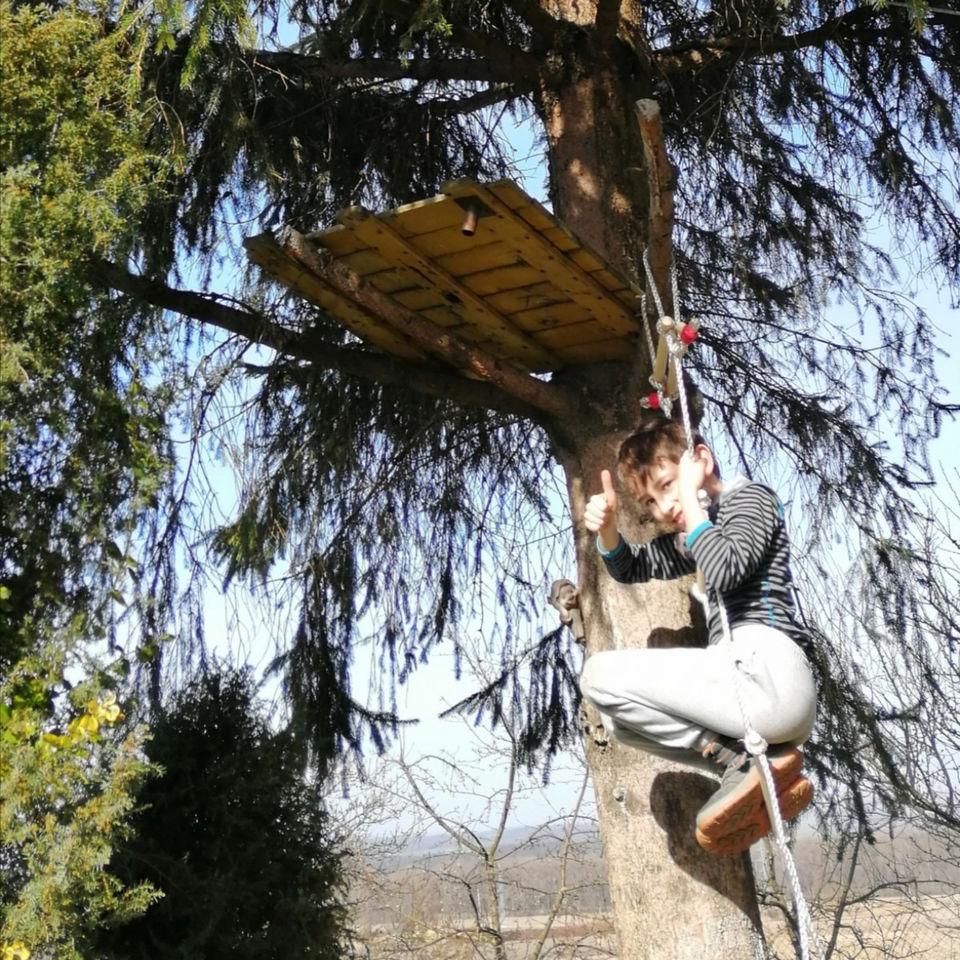 Art during Lockdown competition