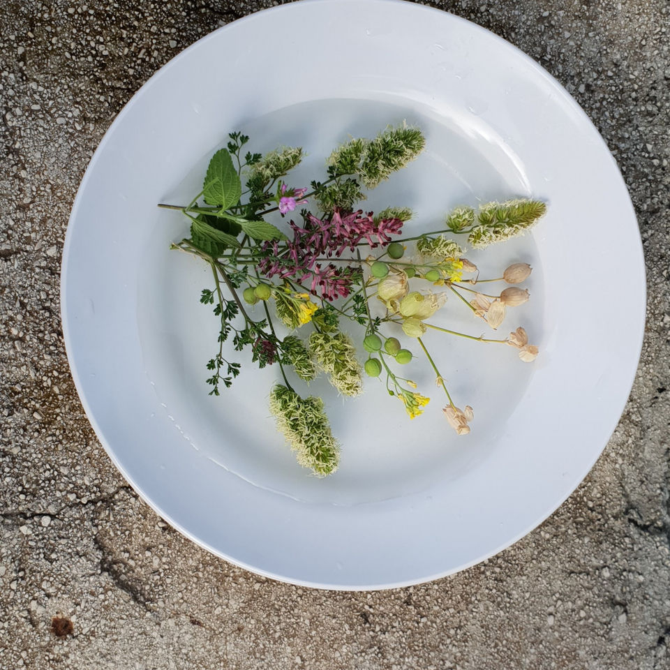 Art during Lockdown competition