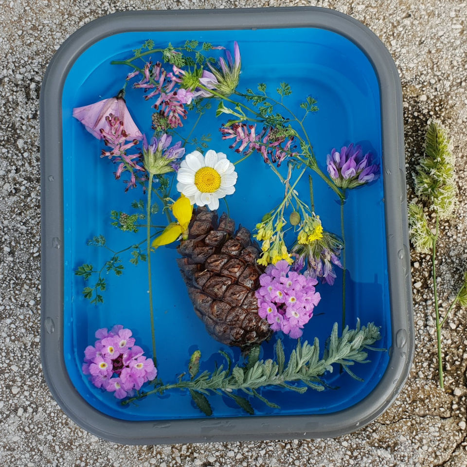 Art during Lockdown competition