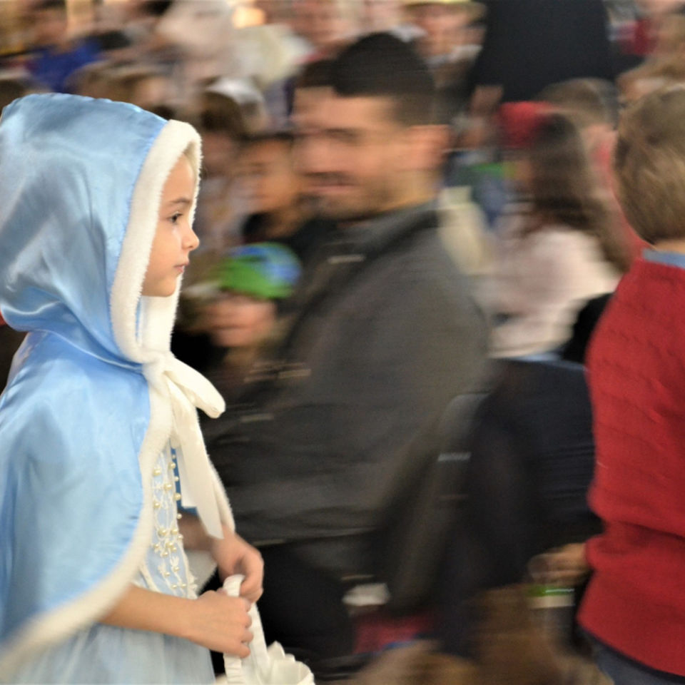 Costume parade and Book week activities Primary