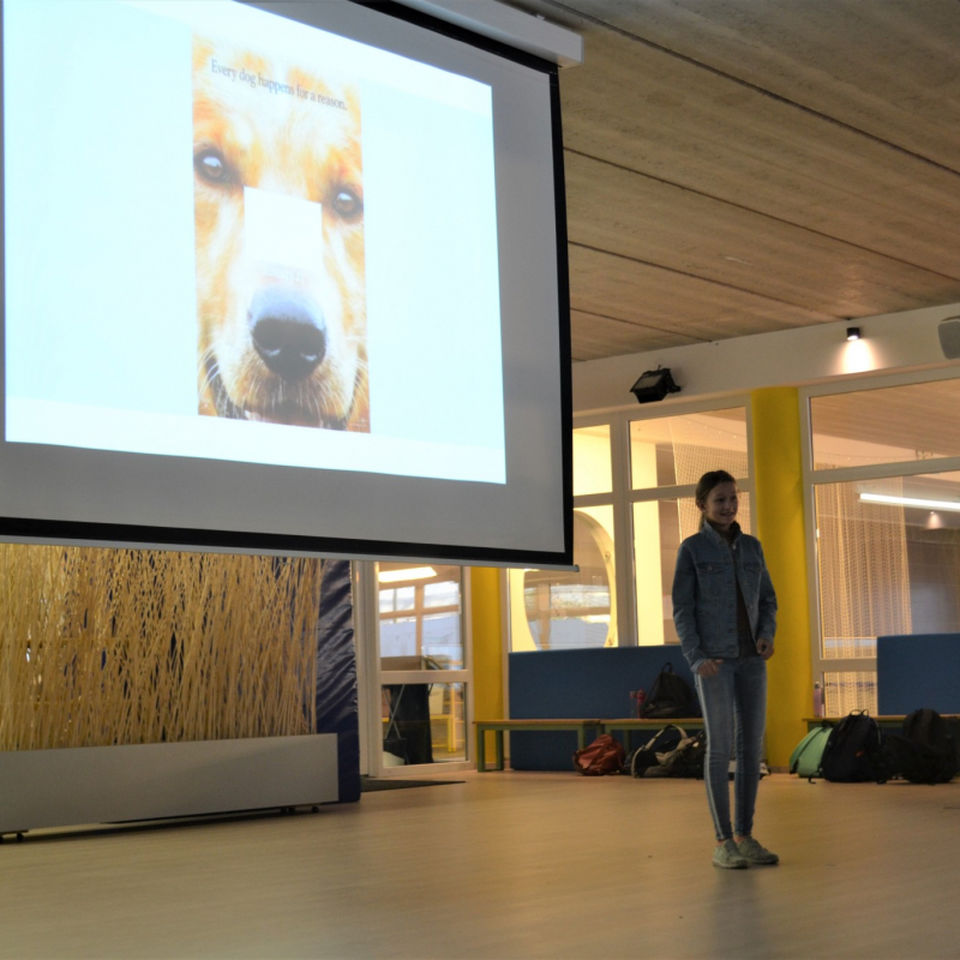 Costume parade and Book week activities Secondary