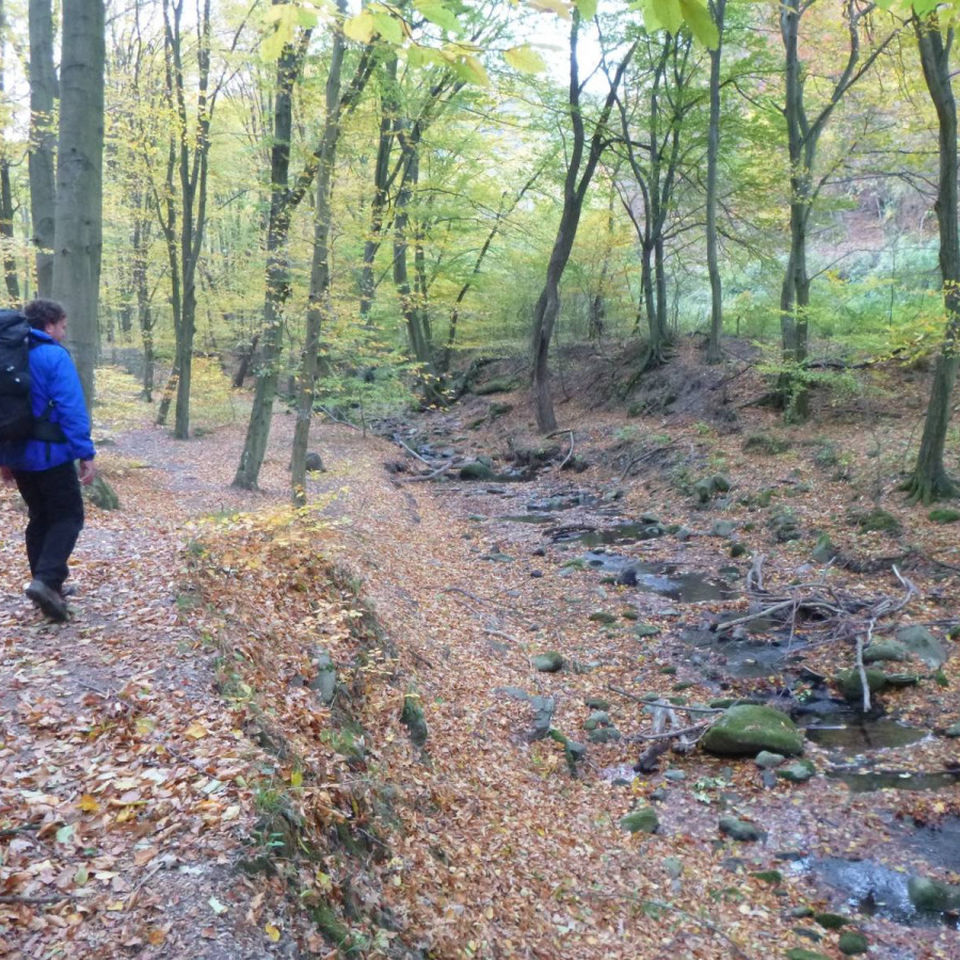 DofE silver Award Trip/ Hungary