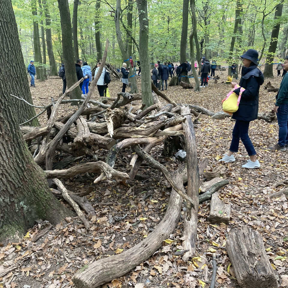 Forest School Opening