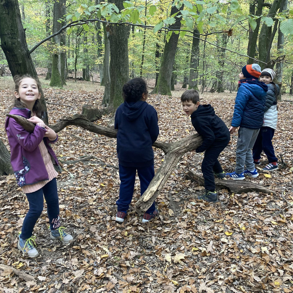 Forest School Opening