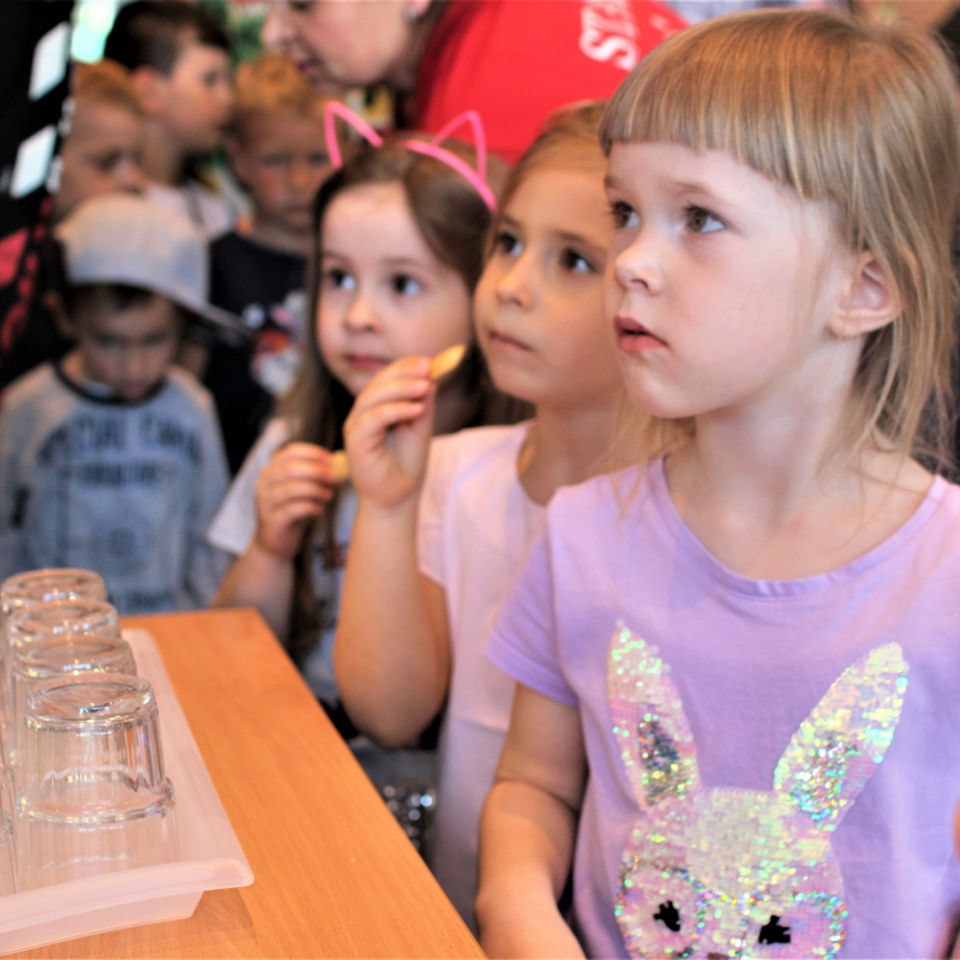 International day 2019