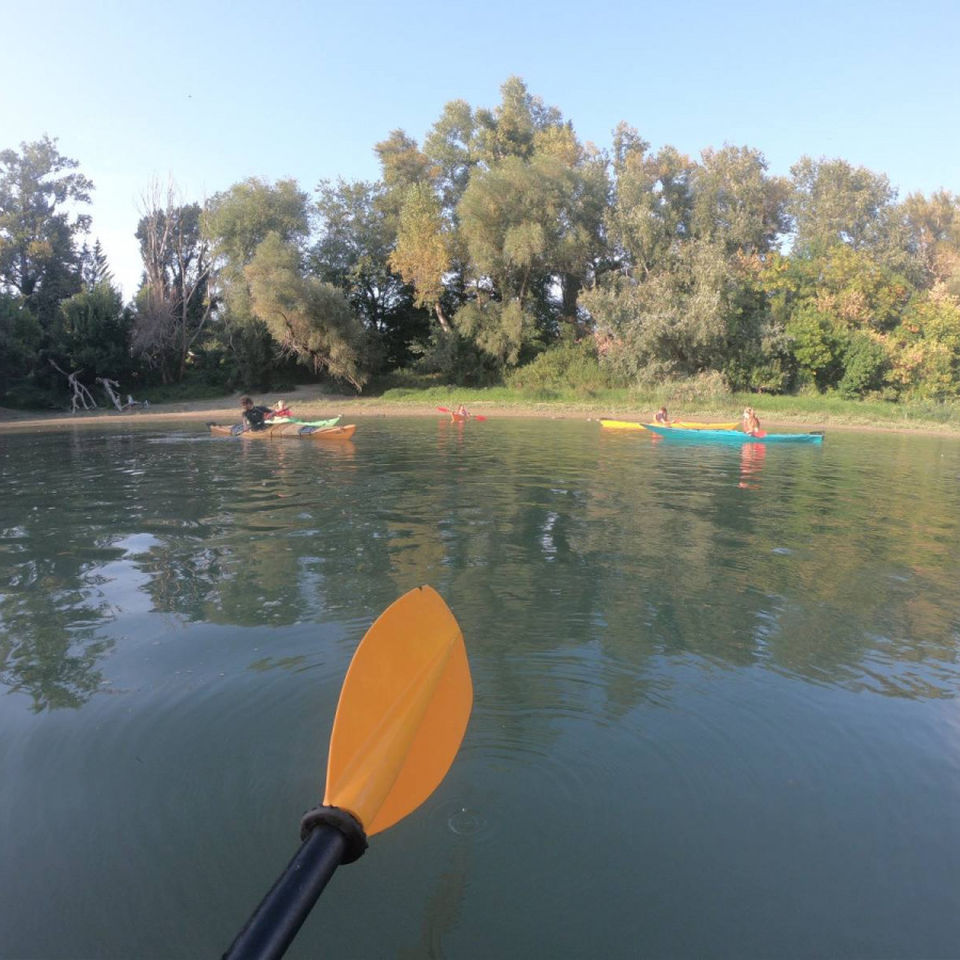 Kayaking Fall 2019