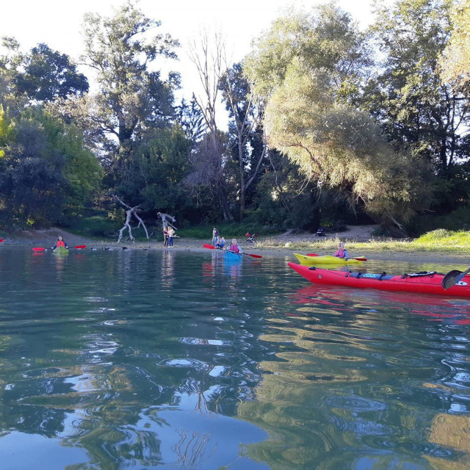Kayaking Fall 2019