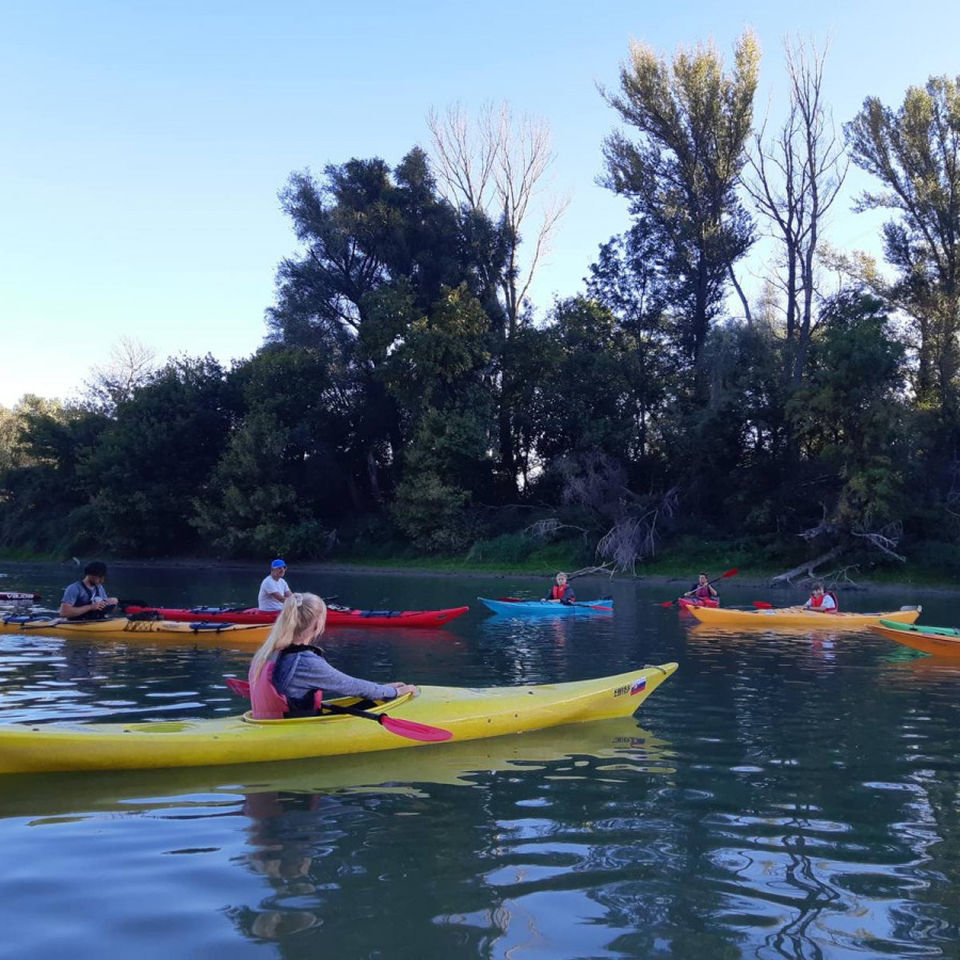 Kayaking Fall 2019