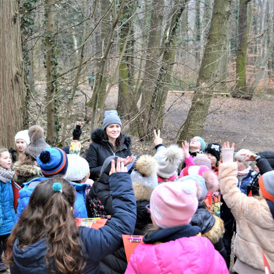 Maths & Science day for Primary