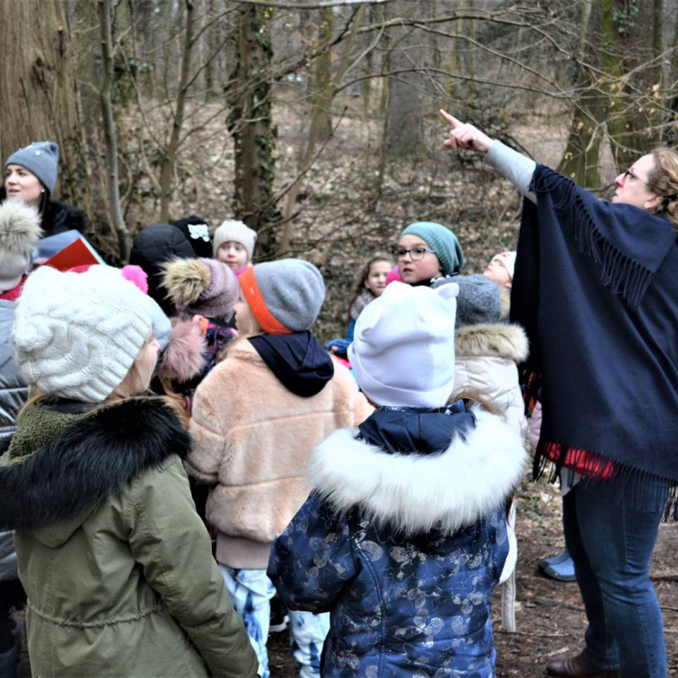 Maths & Science day for Primary