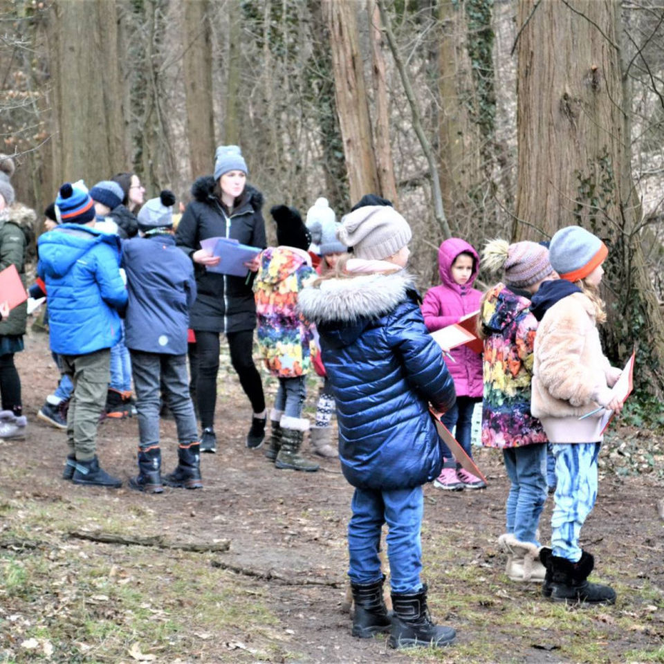 Maths & Science day for Primary