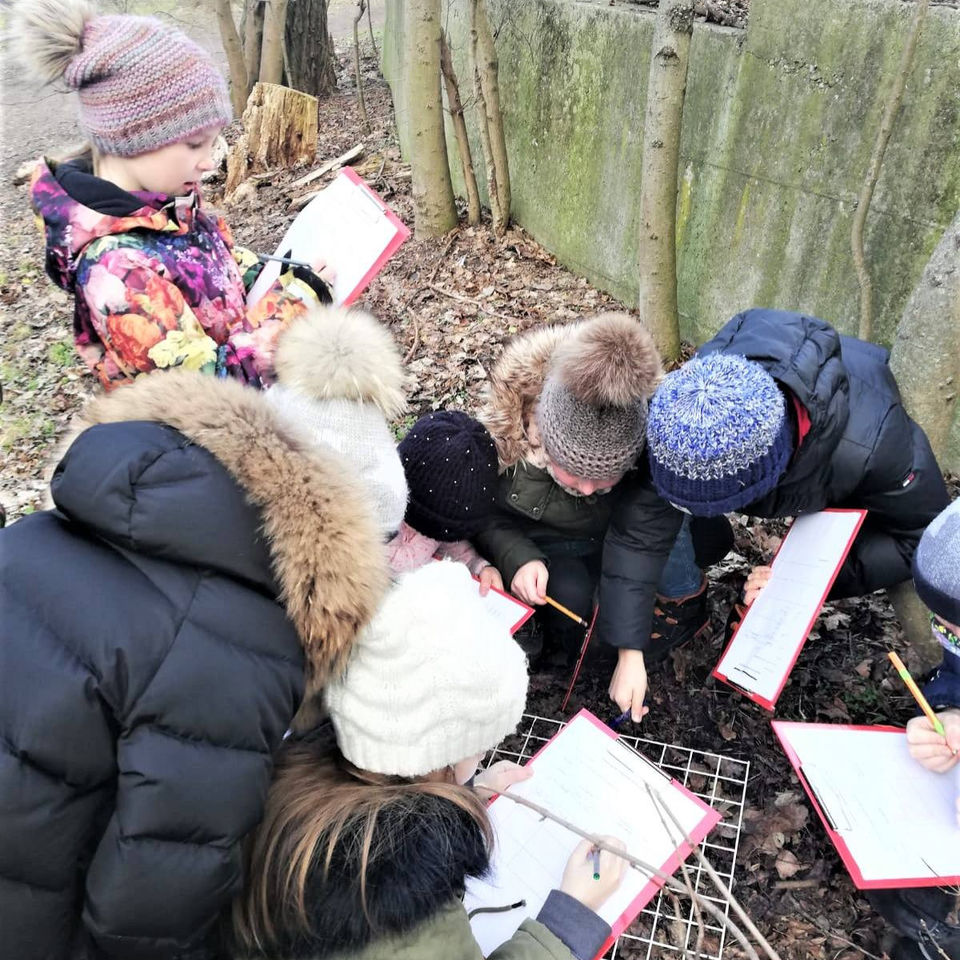 Maths & Science day for Primary