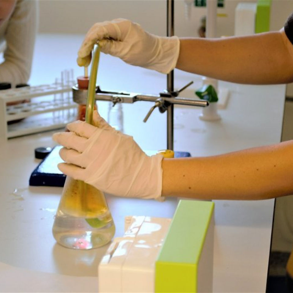 Maths and Science Secondary