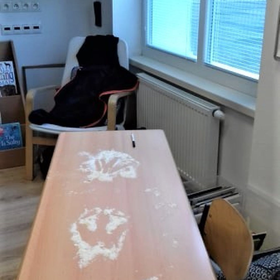 Paleontological session of Y2 with Mr Luke