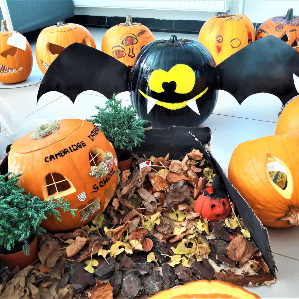 Pumpkin carving competition 2019