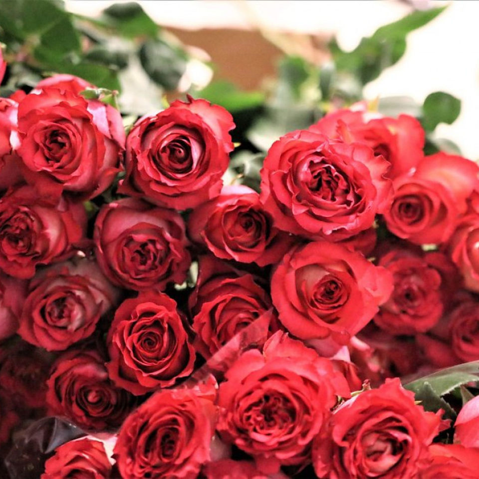 Secondary Fairytale ball - Y10P