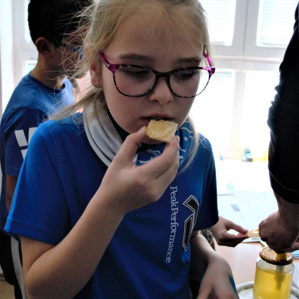 Urban forests Bratislava session - Y5