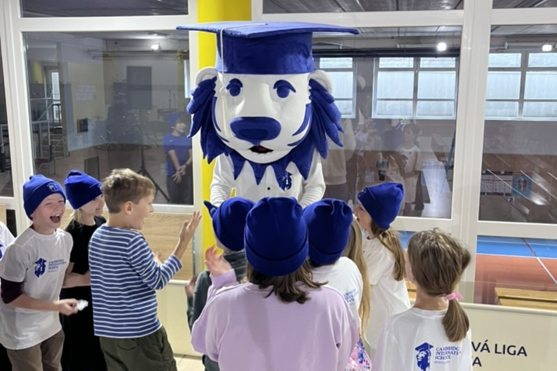 Full-width gallery image