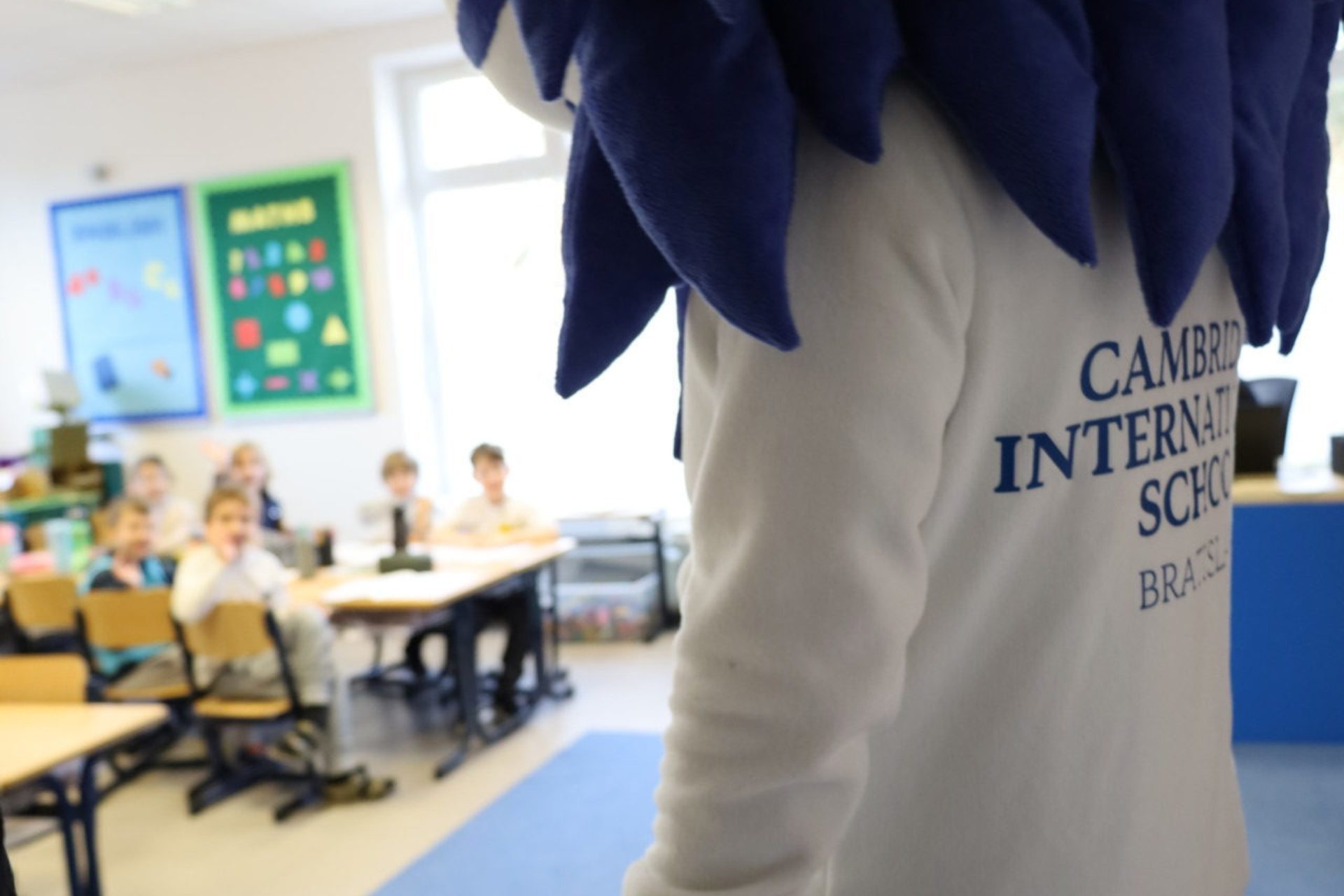 Full-width gallery image