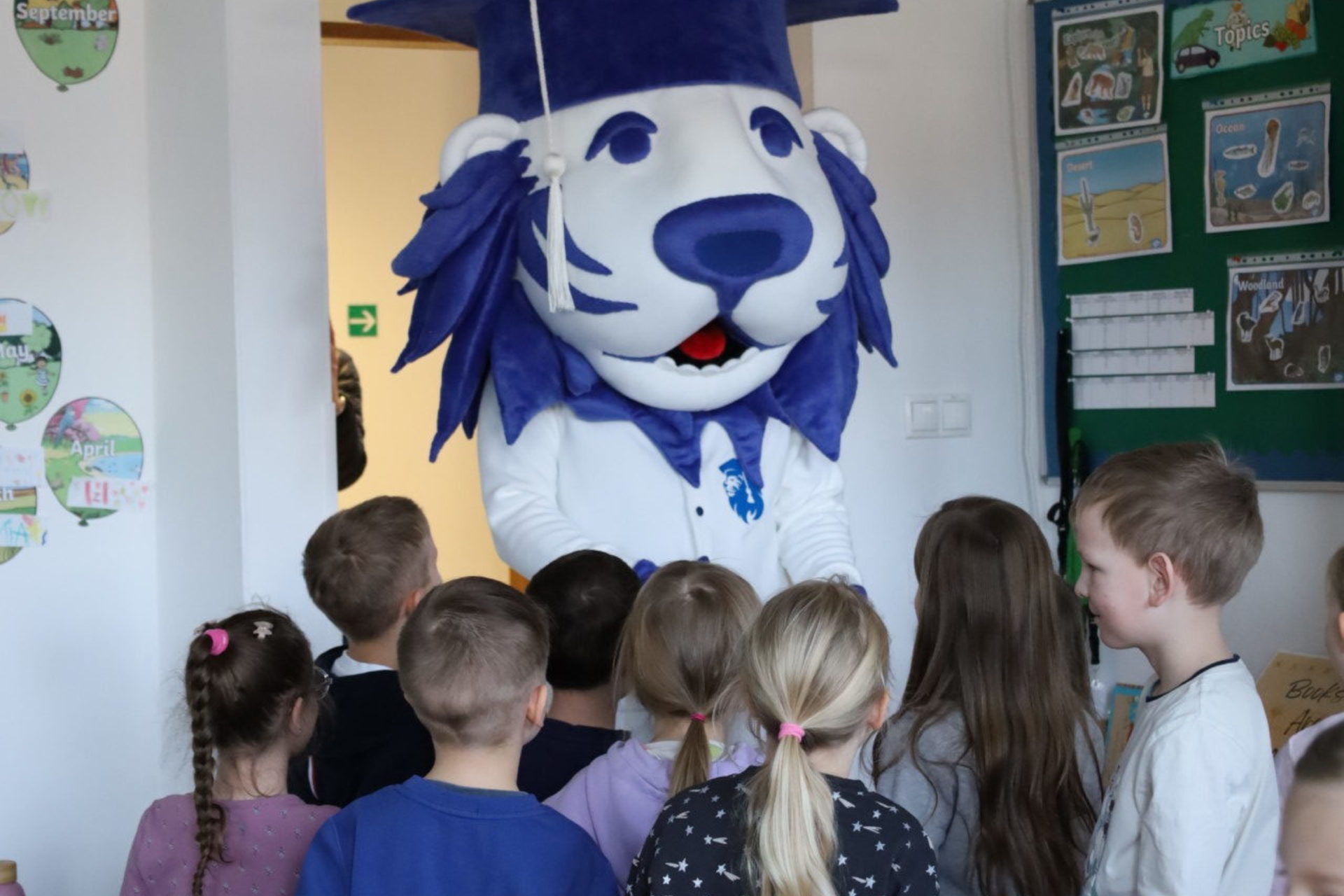 Full-width gallery image