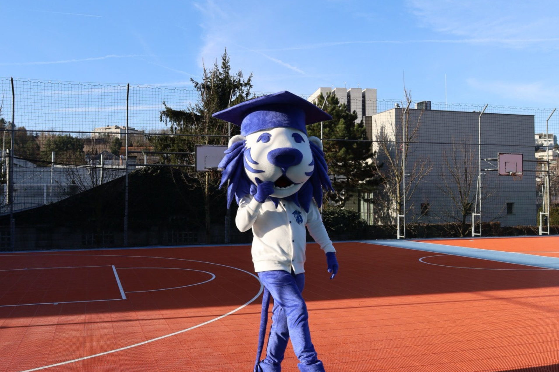 Full-width gallery image