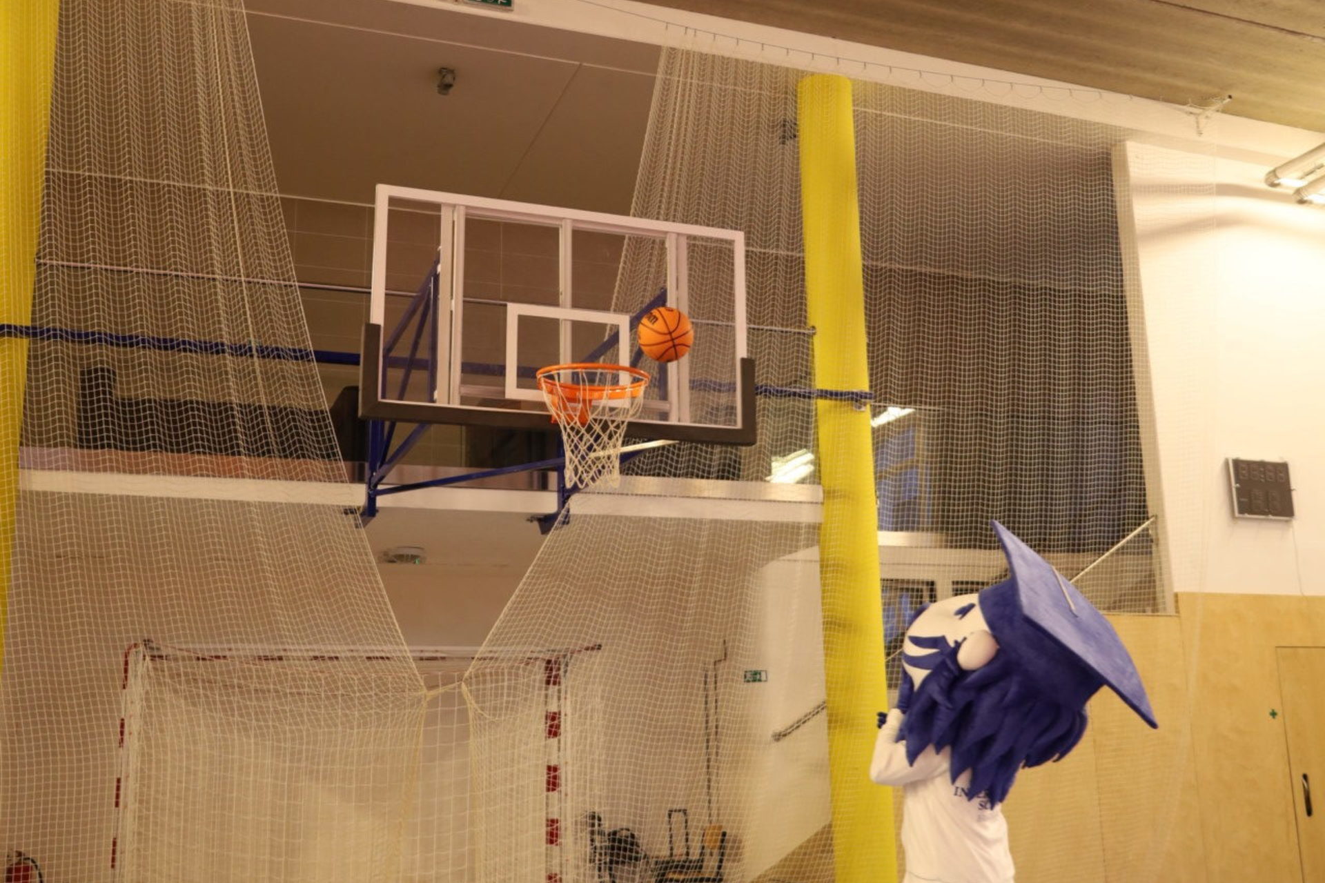 Full-width gallery image