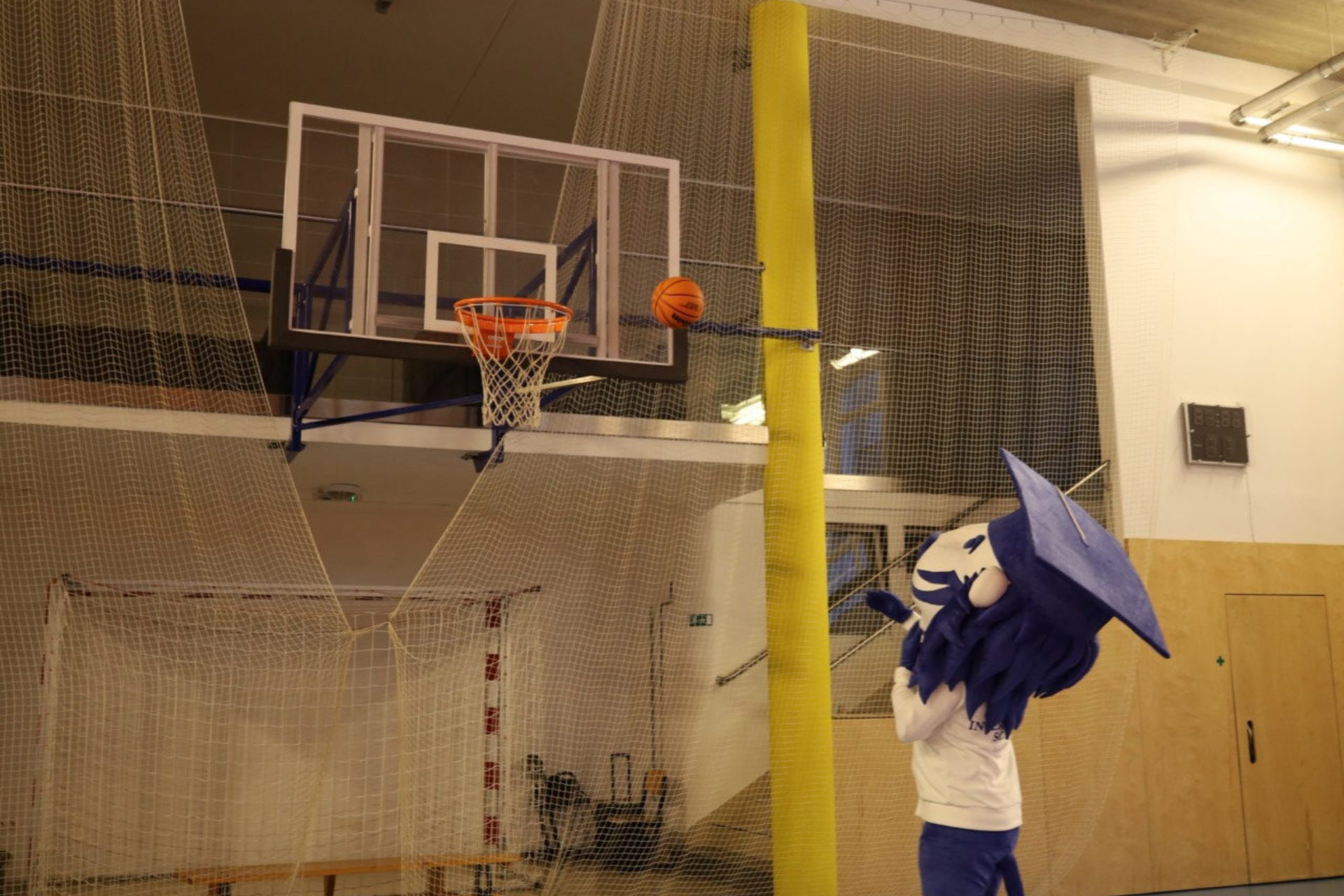 Full-width gallery image