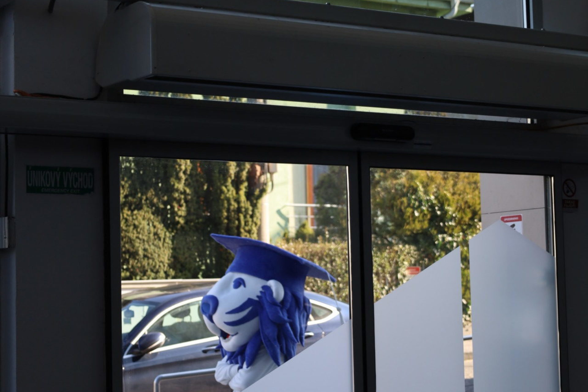 Full-width gallery image